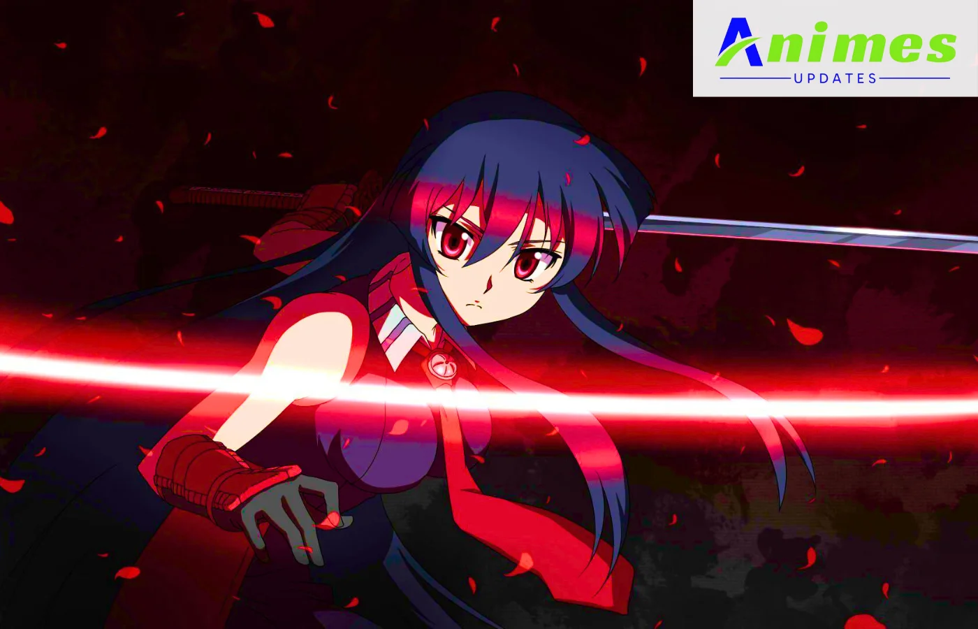 Akame ga Kill!