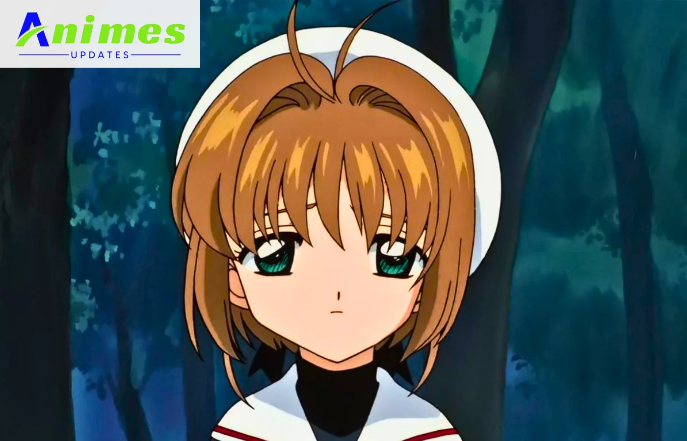 Sakura ( Cardcaptor Sakura)