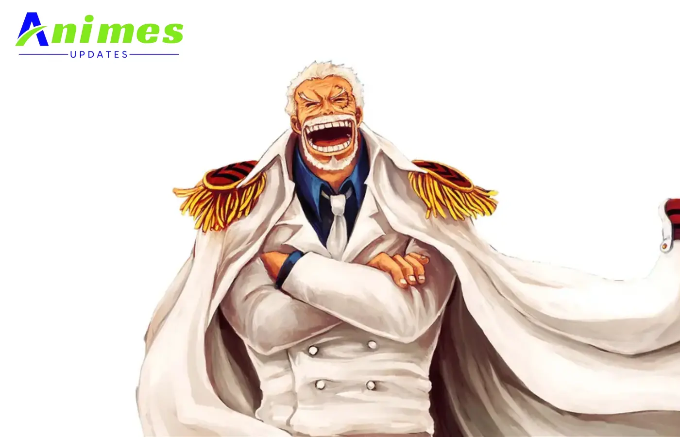 Monkey D. Garp from One Piece