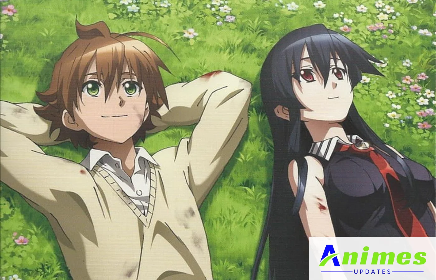 Tatsumi Akami Ga Kill!