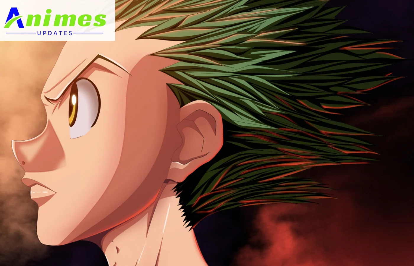 Gon Freecs (Hunter x Hunter)