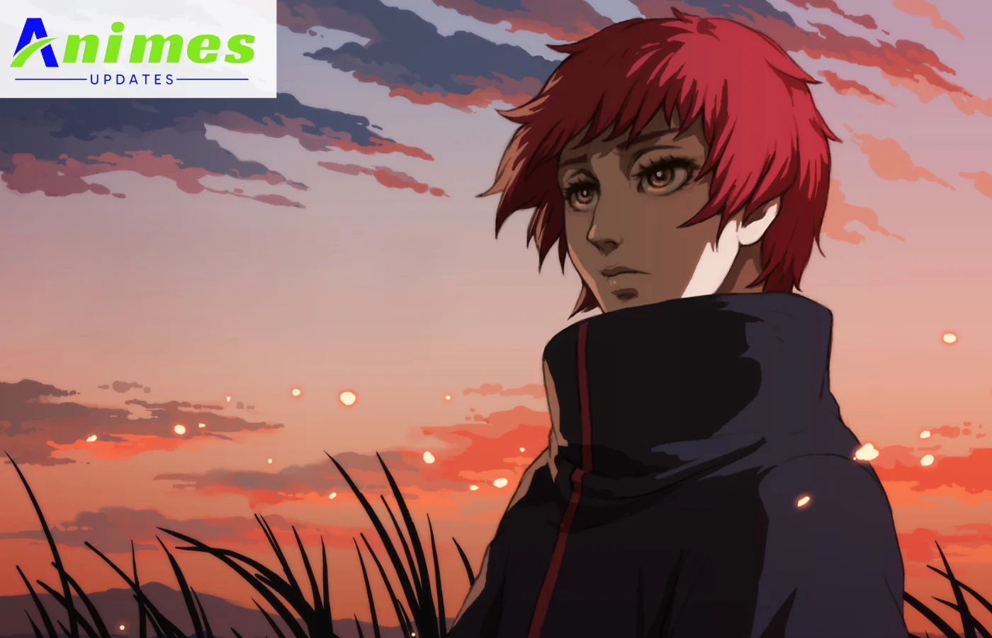 SASORI NARUTO