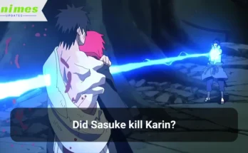 Did Sasuke kill Karin