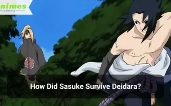 How Did Sasuke Survive Deidara