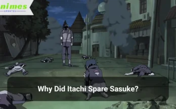 Why Did Itachi Spare Sasuke