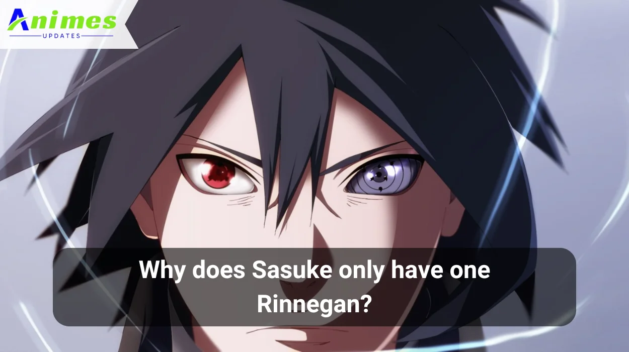 Why Does Sasuke Only Have One Rinnegan?